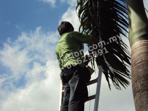 Speed Dome Installation